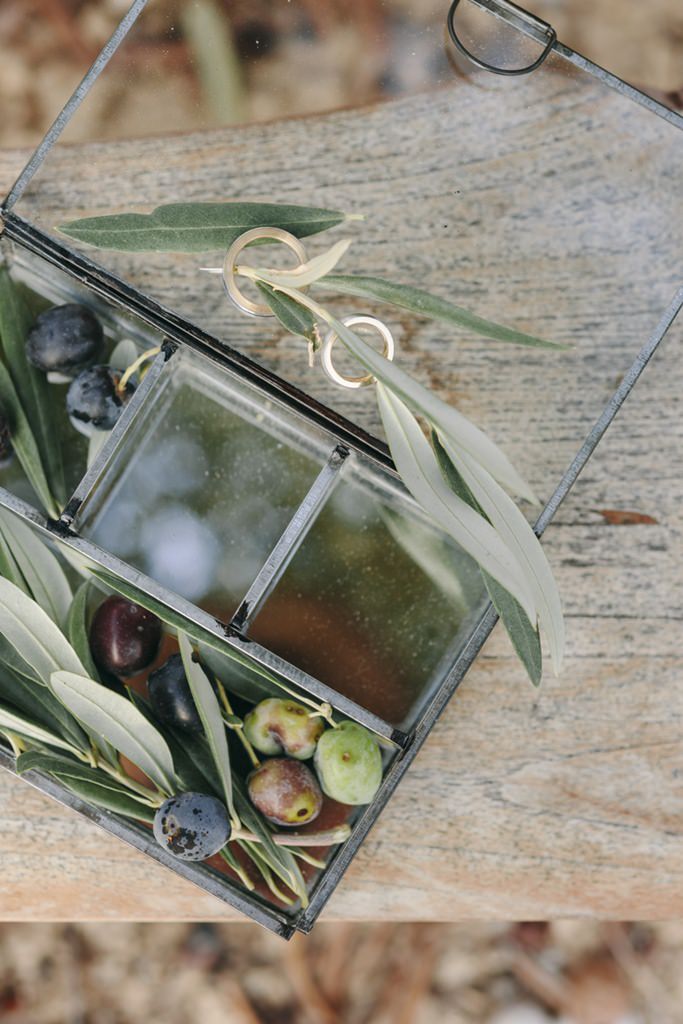 goldene Eheringe liegen in einem Kasten mit Oliven und Olivenzweigen