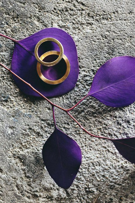 goldene Ringe liegen auf einem Zweig mit lila Blättern