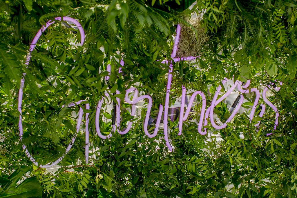 Neon Schriftzug auf einer Greenery Wand als Teil einer Hochzeitsdeko | Foto von Hanna Witte Hochzeitsreportage