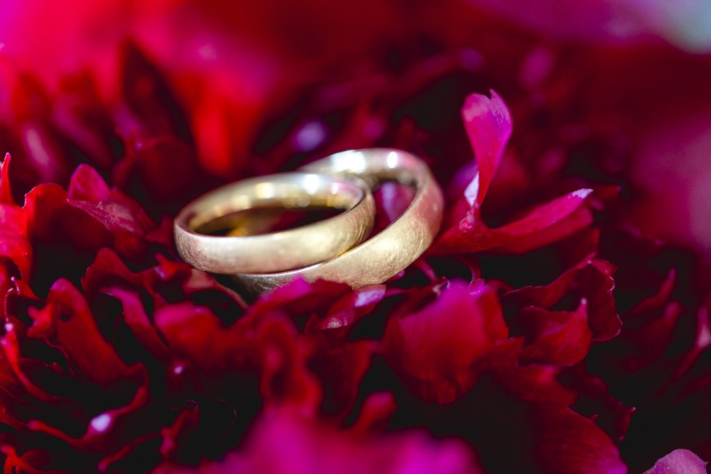 Hochzeitsfoto von goldenen Trauringen auf einer roten Blume | Foto: Hanna Witte