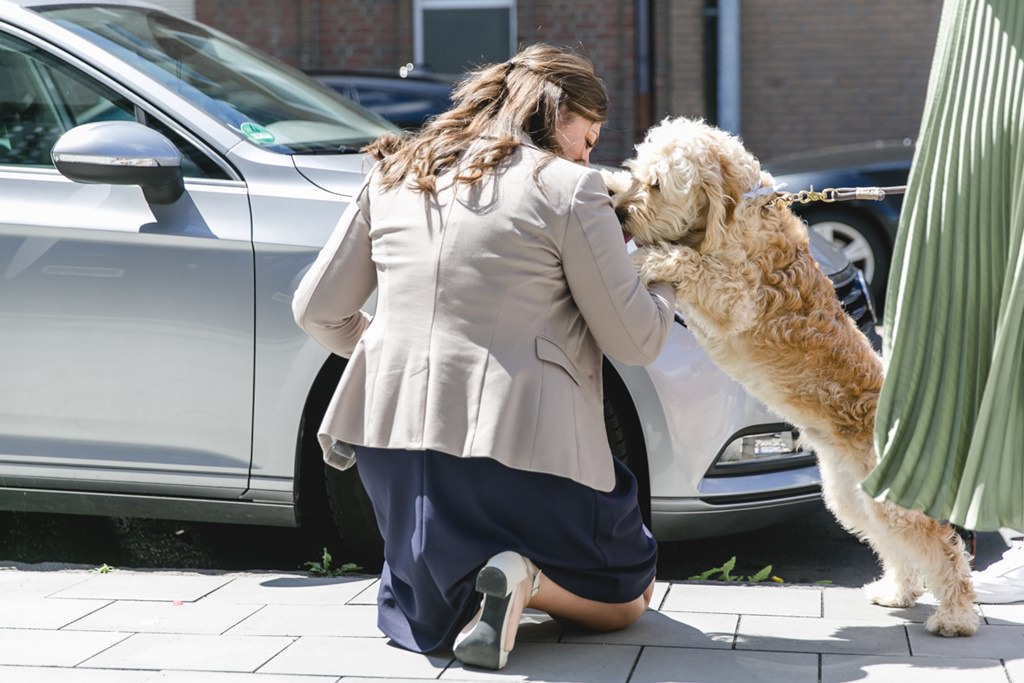 ein weiblicher Hochzeitsgast begrüßt einen Hund | Foto: Hanna Witte