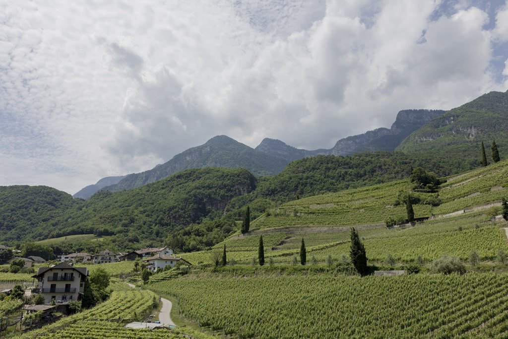 Landschaftsaufnahme von bergen und Weinbergen in Kaltern in Südtirol | Bild: Hochzeitsfotografin Hanna Witte
