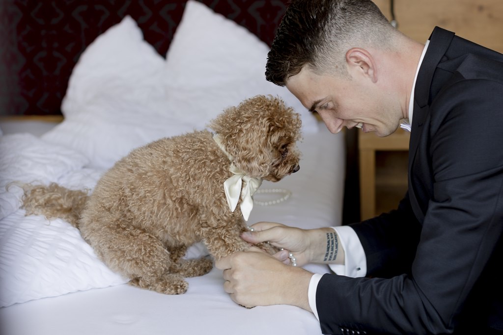der Bräutigam legt seinem Hund für die Hochzeit eine Perlenleine um | Bild: Hochzeitsfotografin Hanna Witte