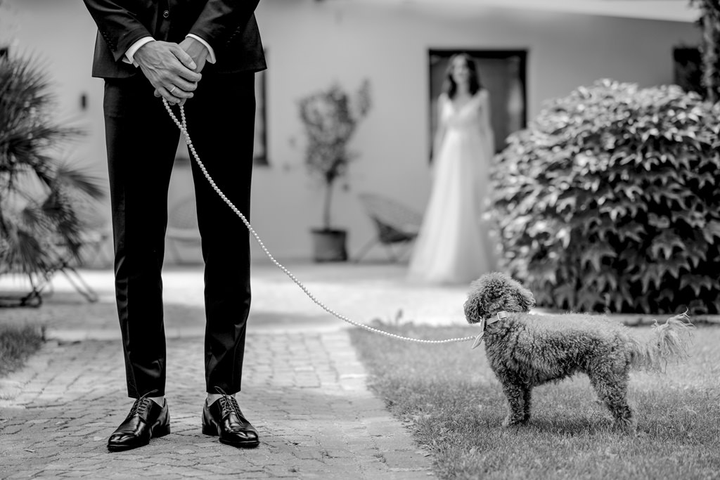 der Bräutigam und der kleine Hund warten vor dem First Look auf die Braut | Bild: Hochzeitsfotografin Hanna Witte